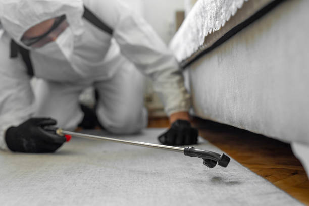 Professional Termite Control technician working in Fenton, MO