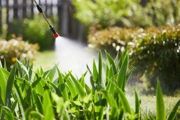 24/7 Emergency Termite Control experts in Fenton, MO